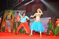 Srimannarayana Audio Release Photos